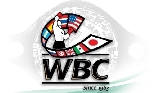 Шок! Два казахских боксера потеряли позиции в рейтинге WBC!