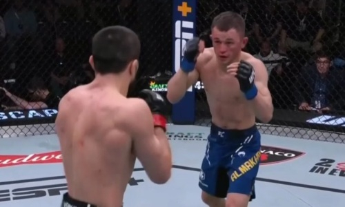 Алмахан против Нурмагомедова: Видео боя в UFC с тотальным доминированием!