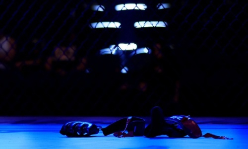 Казахстанец в UFC: Объявлены обладатели бонусов!