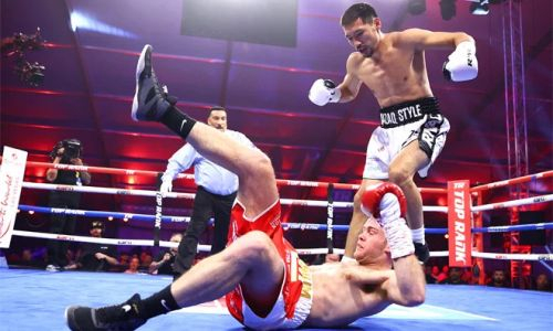 «Разрубил и измельчил»: Шокирующий нокаут Алимханулы! Видео на Almatyboxing.kz