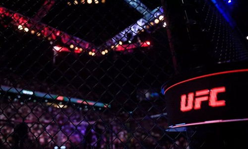 Эксклюзив! Резонансный бой Россия против Украина в UFC!